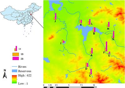 Intestinal colonization with ESBL-producing Klebsiella pneumoniae in healthy rural villager: A genomic surveillance study in China, 2015-2017